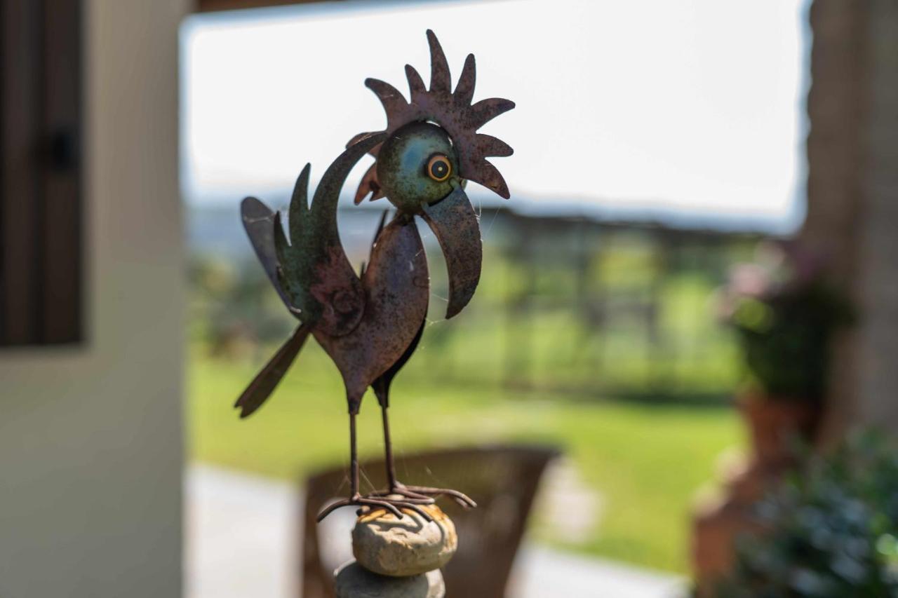 Agriturismo Bella Cima Montefiascone Luaran gambar