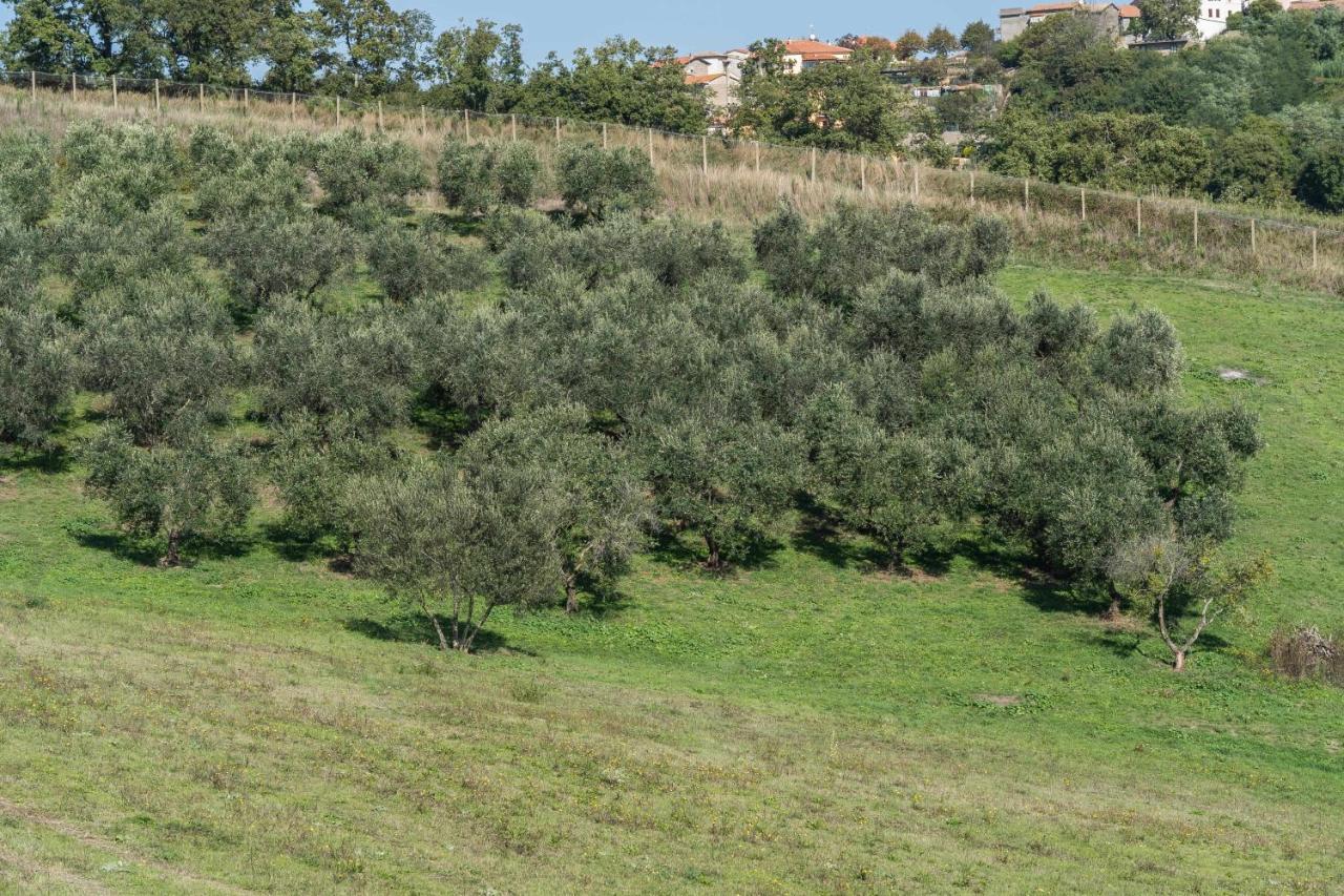 Agriturismo Bella Cima Montefiascone Luaran gambar